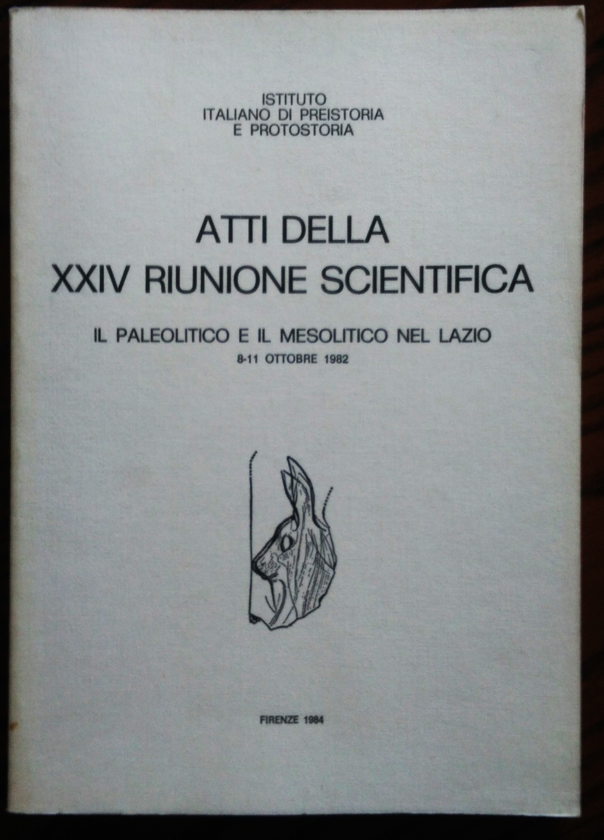 Atti della XXIV riunione scientifica. Il paleolitico e il mesolitico …