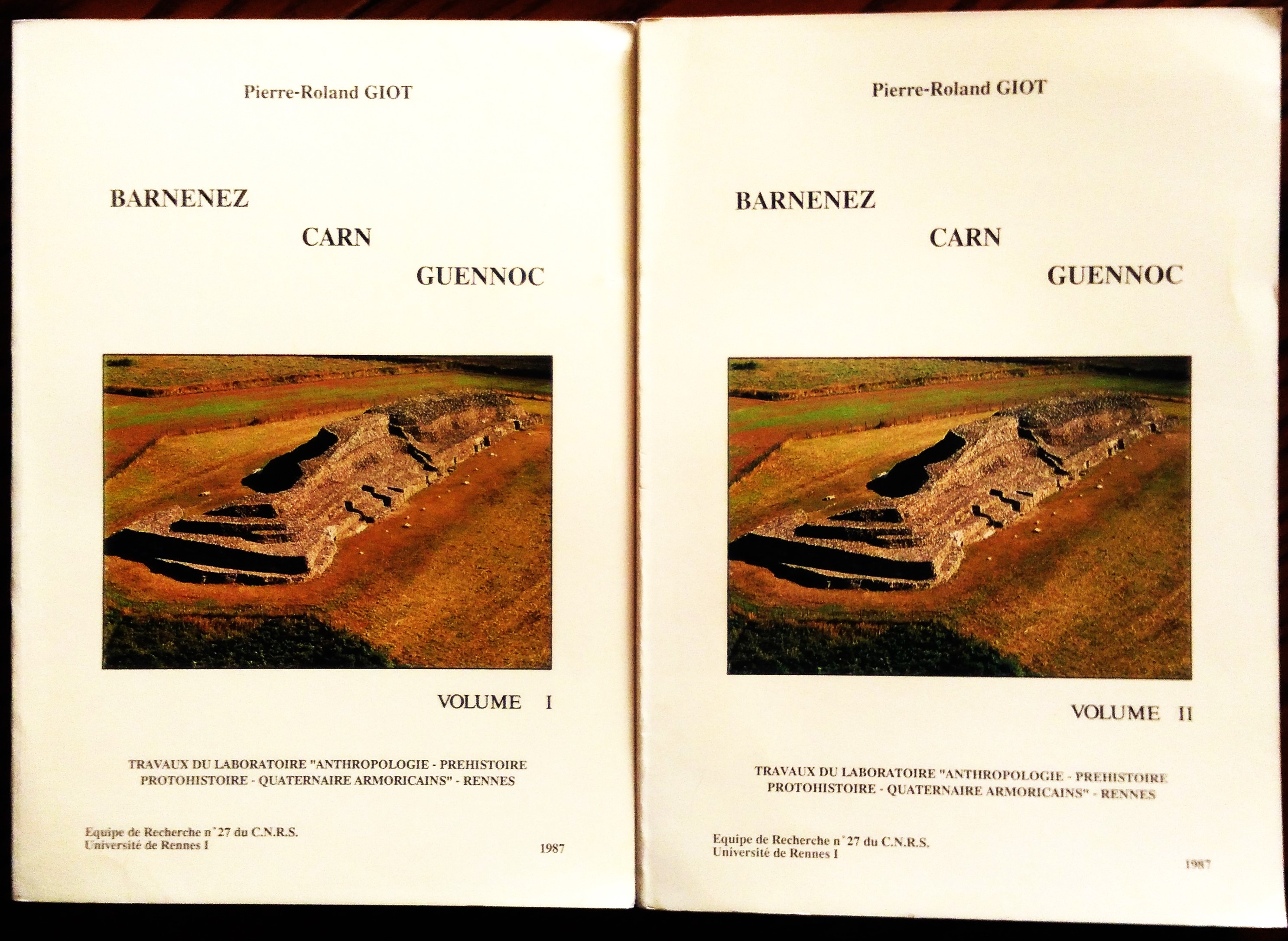 Barnenez Carn Guennoc. Volumes I et II