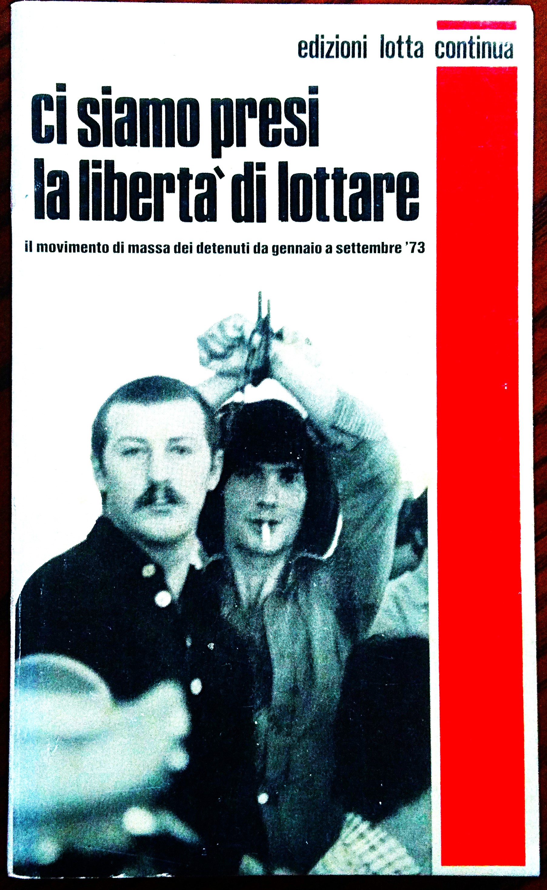 Ci siamo presi la liberta' di lottare. Il movimento di …