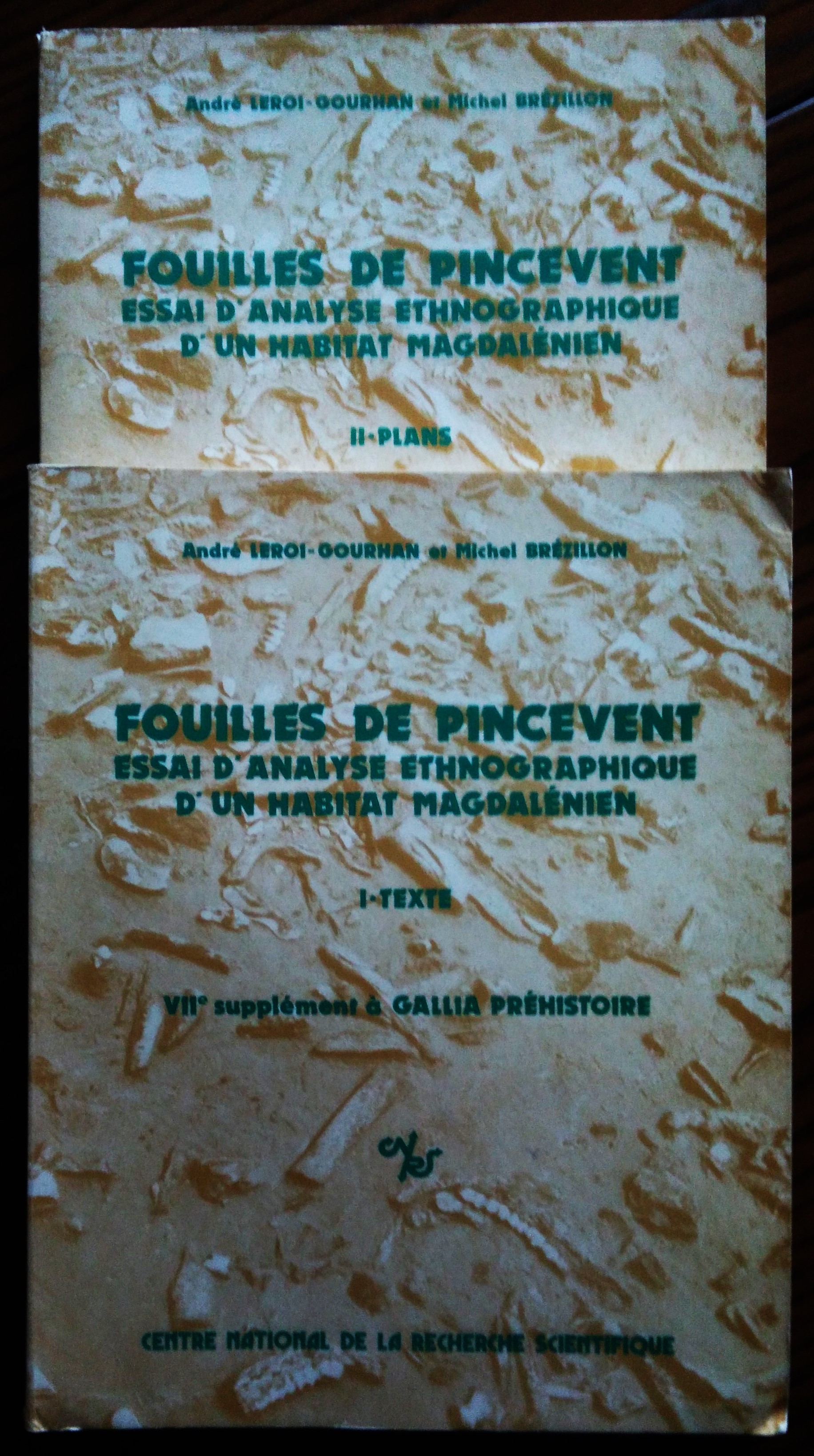 Fouilles de Pincevent: Essai D'analyse Ethnographique d'un Habitat Magdalenien (La …