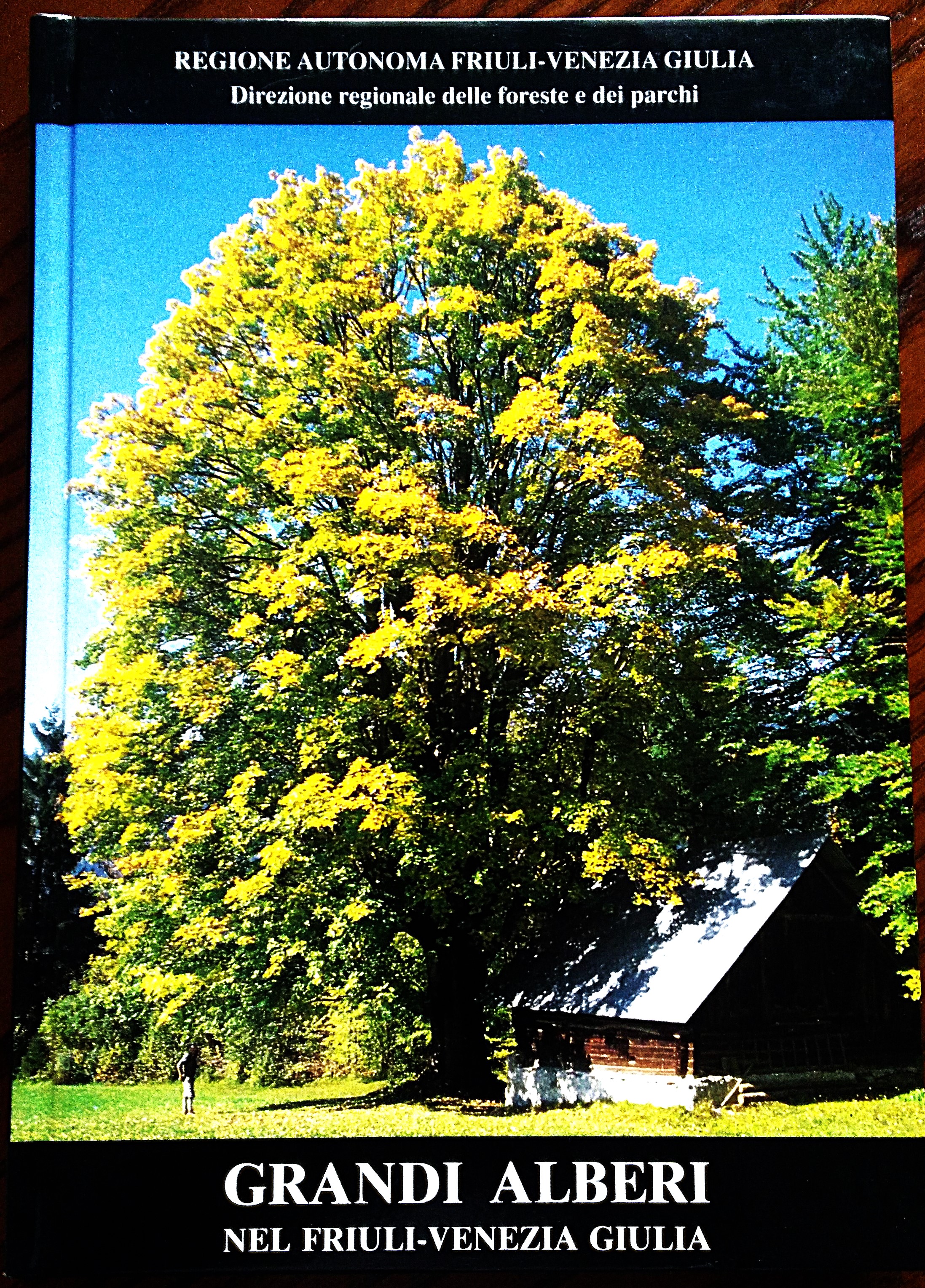 Grandi alberi nel Friuli-Venezia Giulia.
