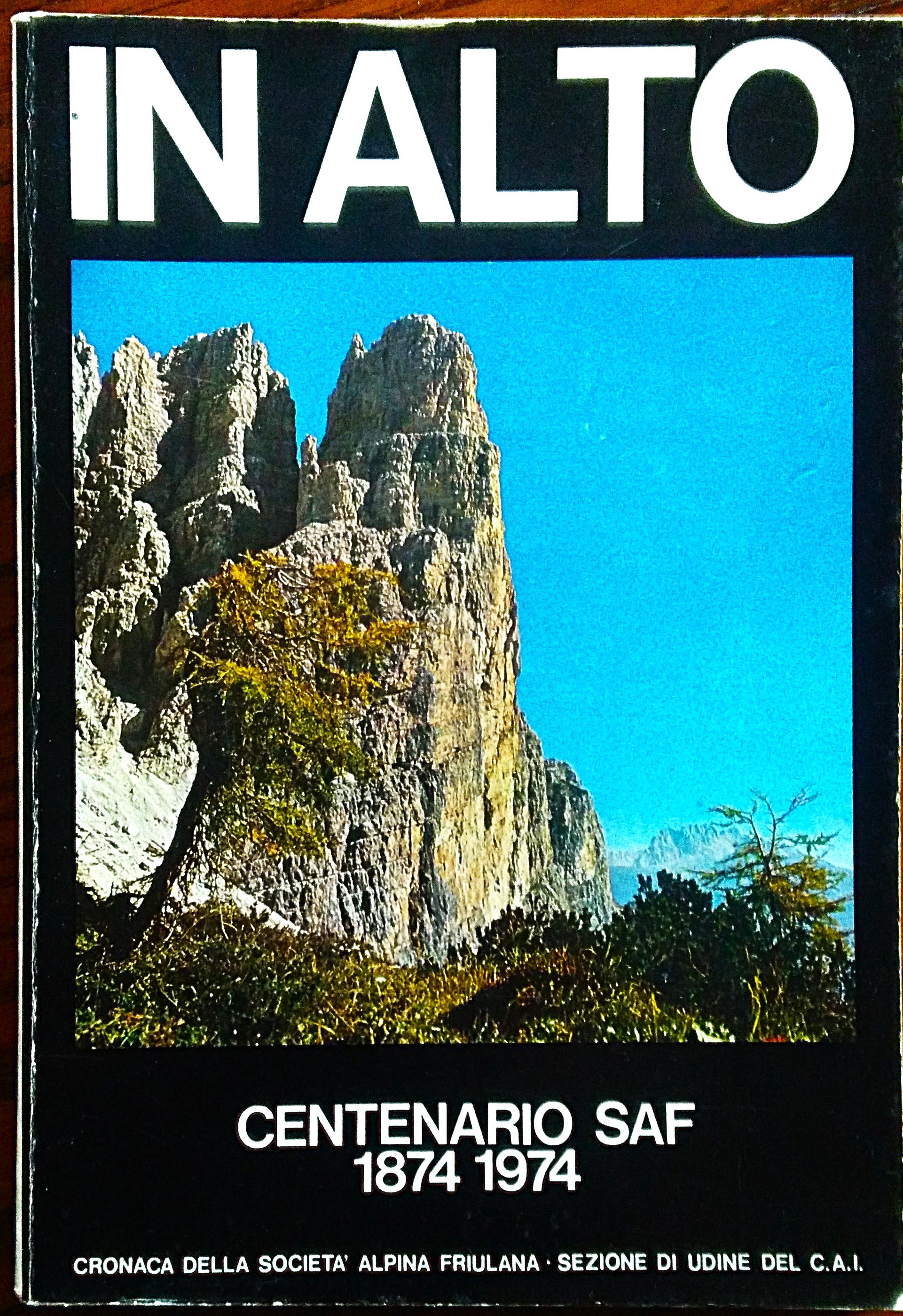 IN ALTO. Cronaca della Società Alpina Friulana. Sezione di Udine …