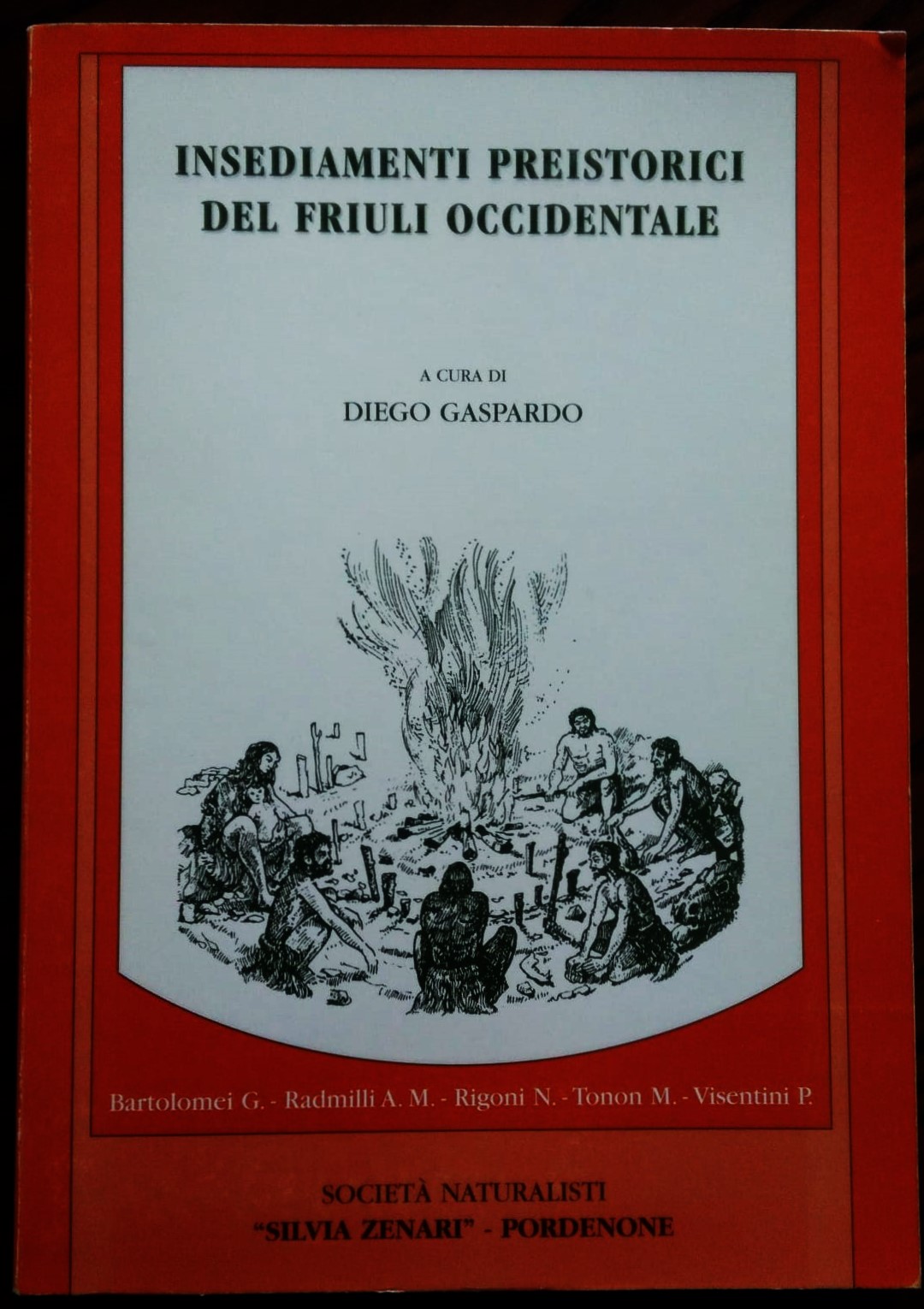 Insediamenti preistorici del Friuli occidentale. A cura di Dego Gaspardo.