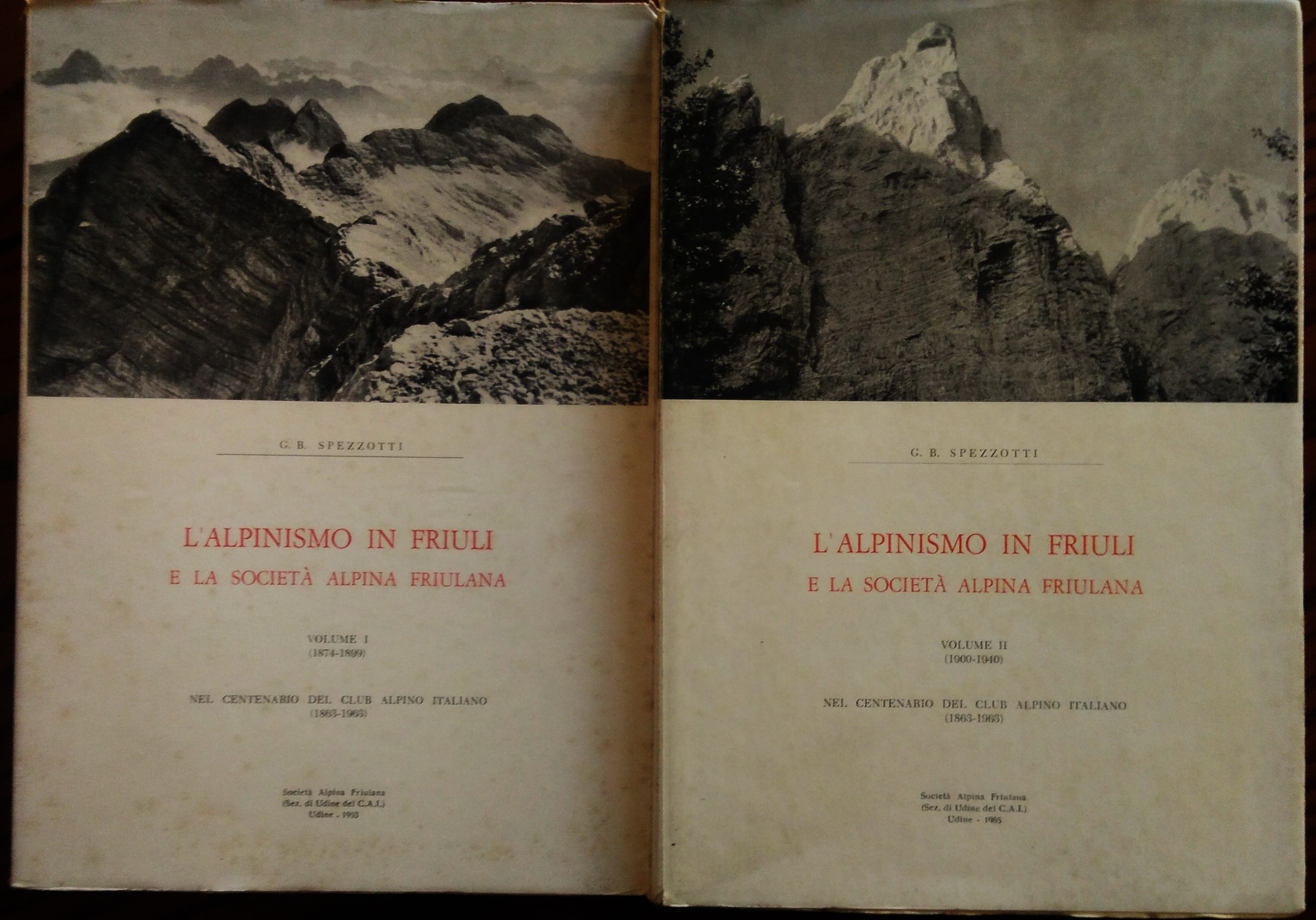 L'alpinismo in Friuli e la società alpina friulana. Volume I …