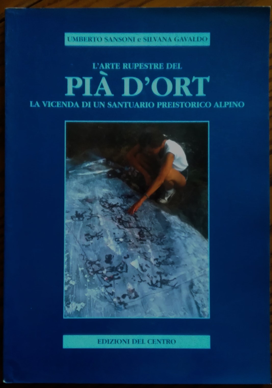 L'arte rupestre del Pia' d'Ort. La vicenda di un santuario …