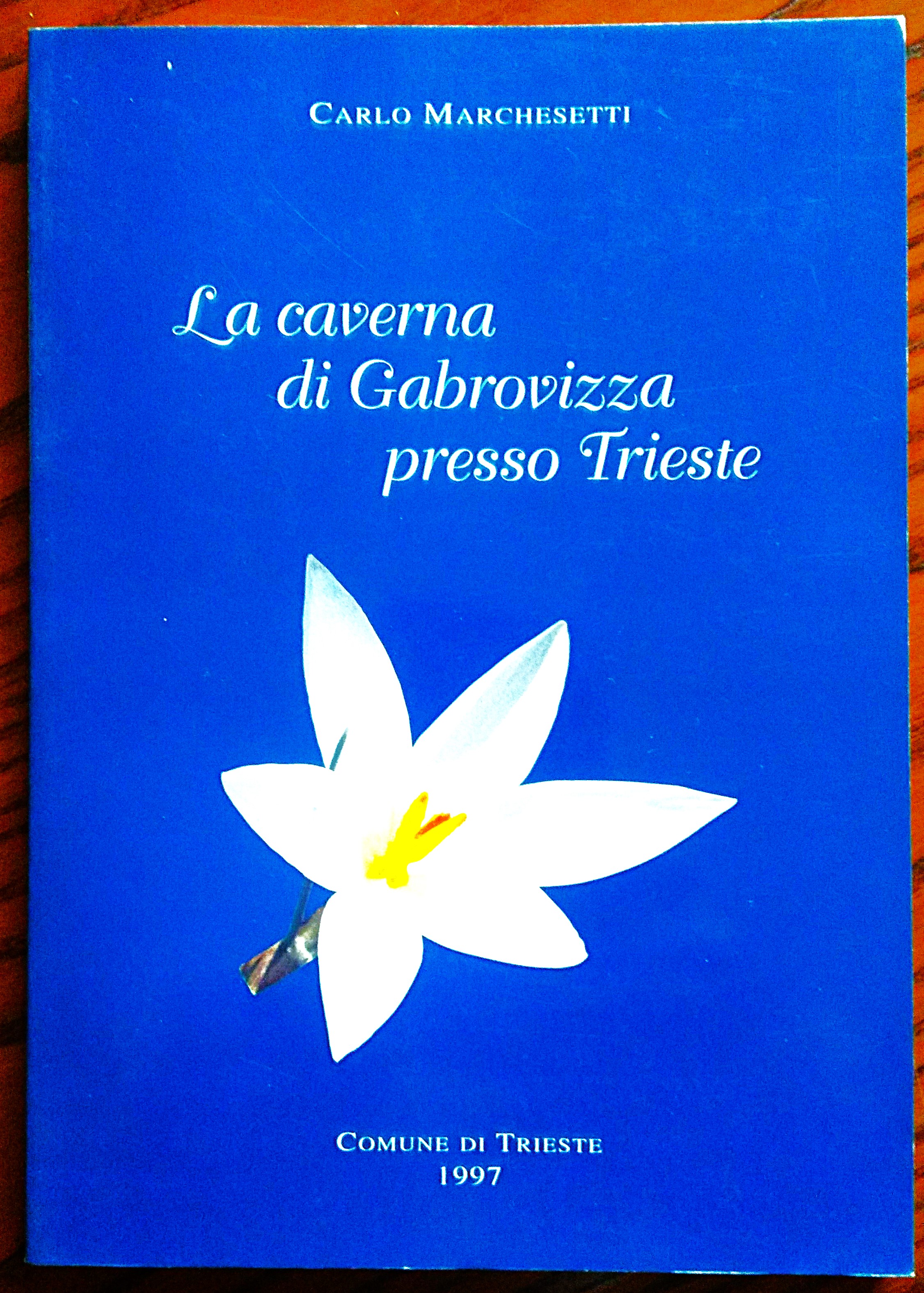 La caverna di Gabrovizza presso Trieste.