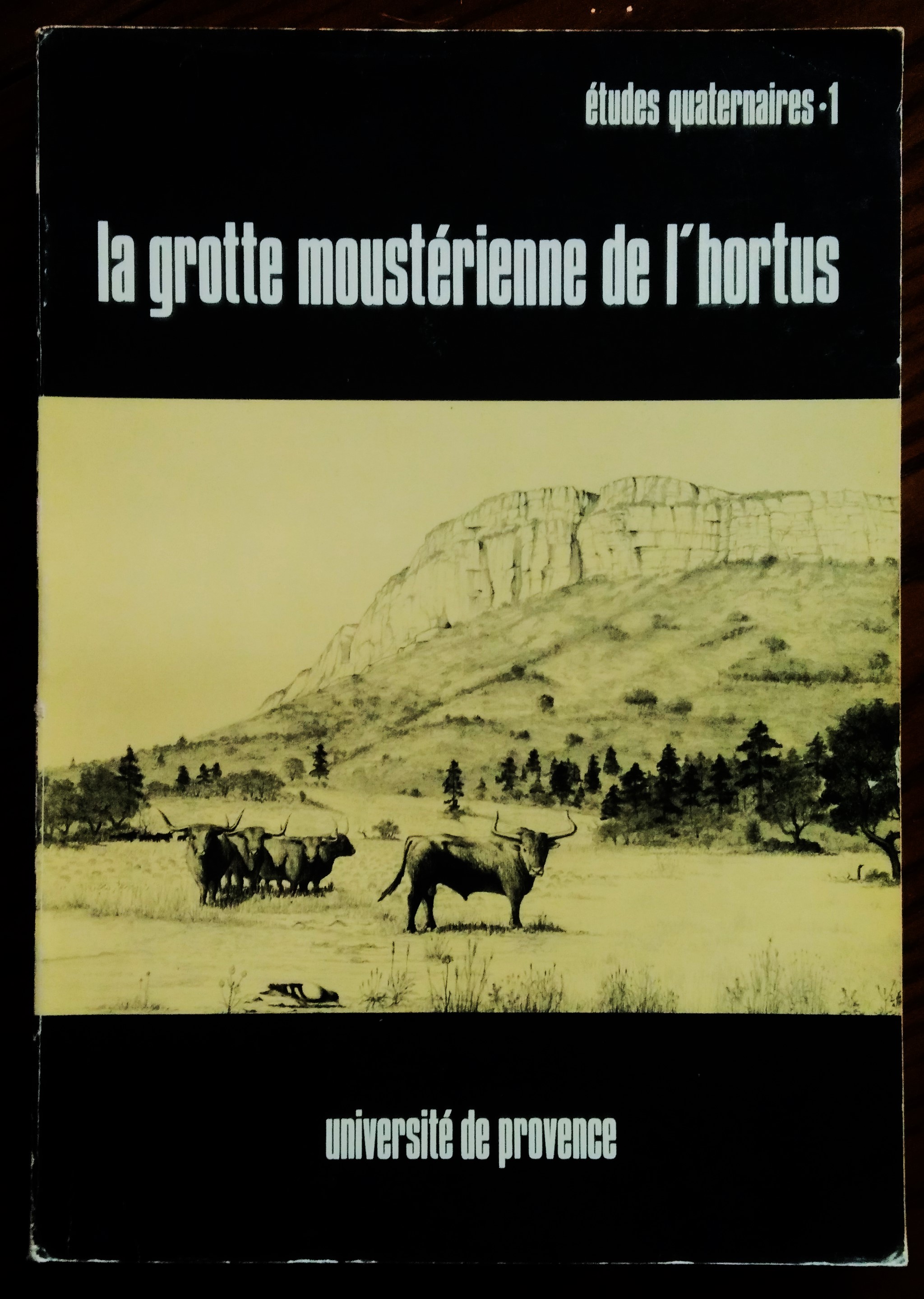 La Grotte de l'Hortus (Valflaunes, Herault). Les chasseurs neandertaliens et …