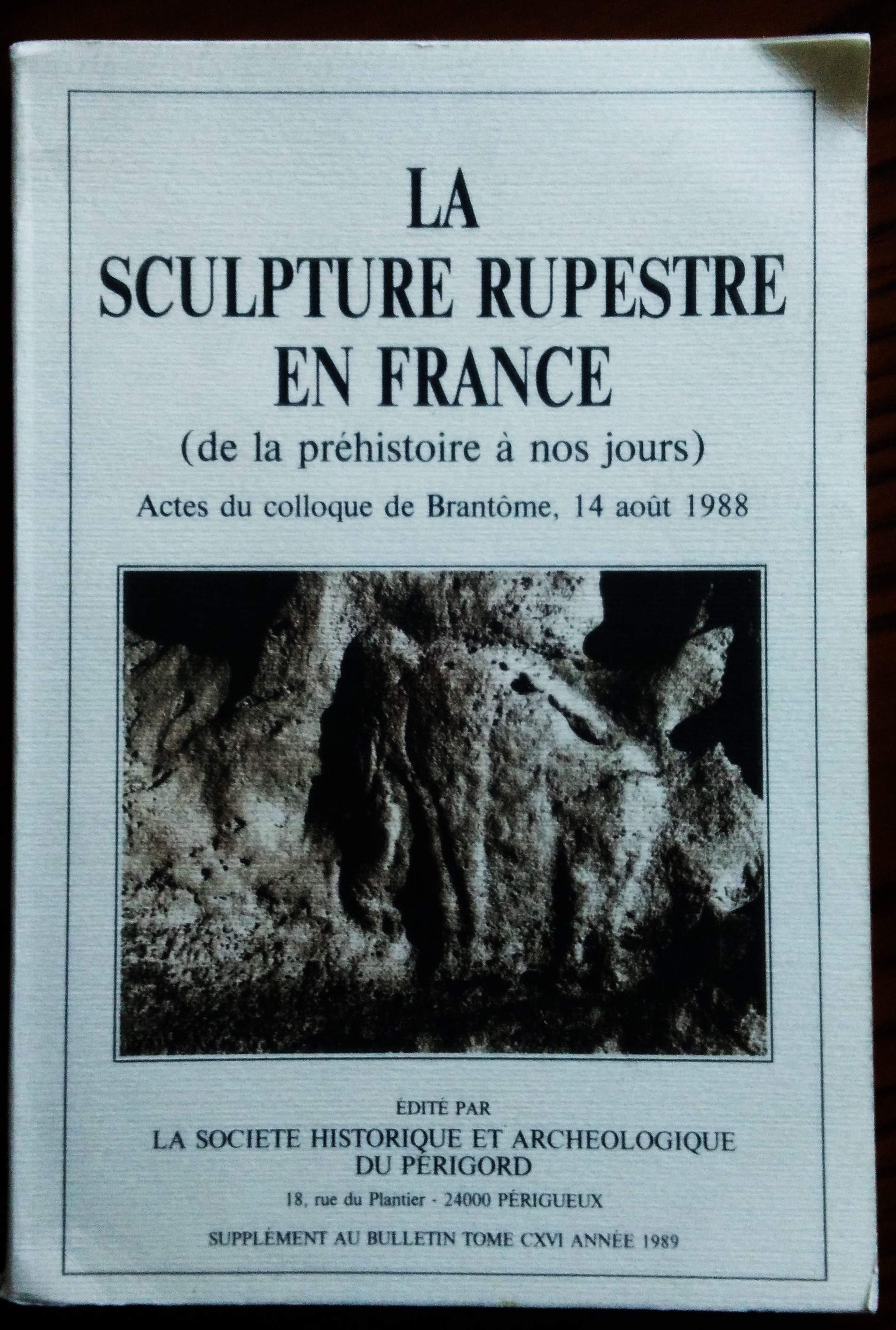 La sculpture rupestre en France (de la préhistoire à nos …