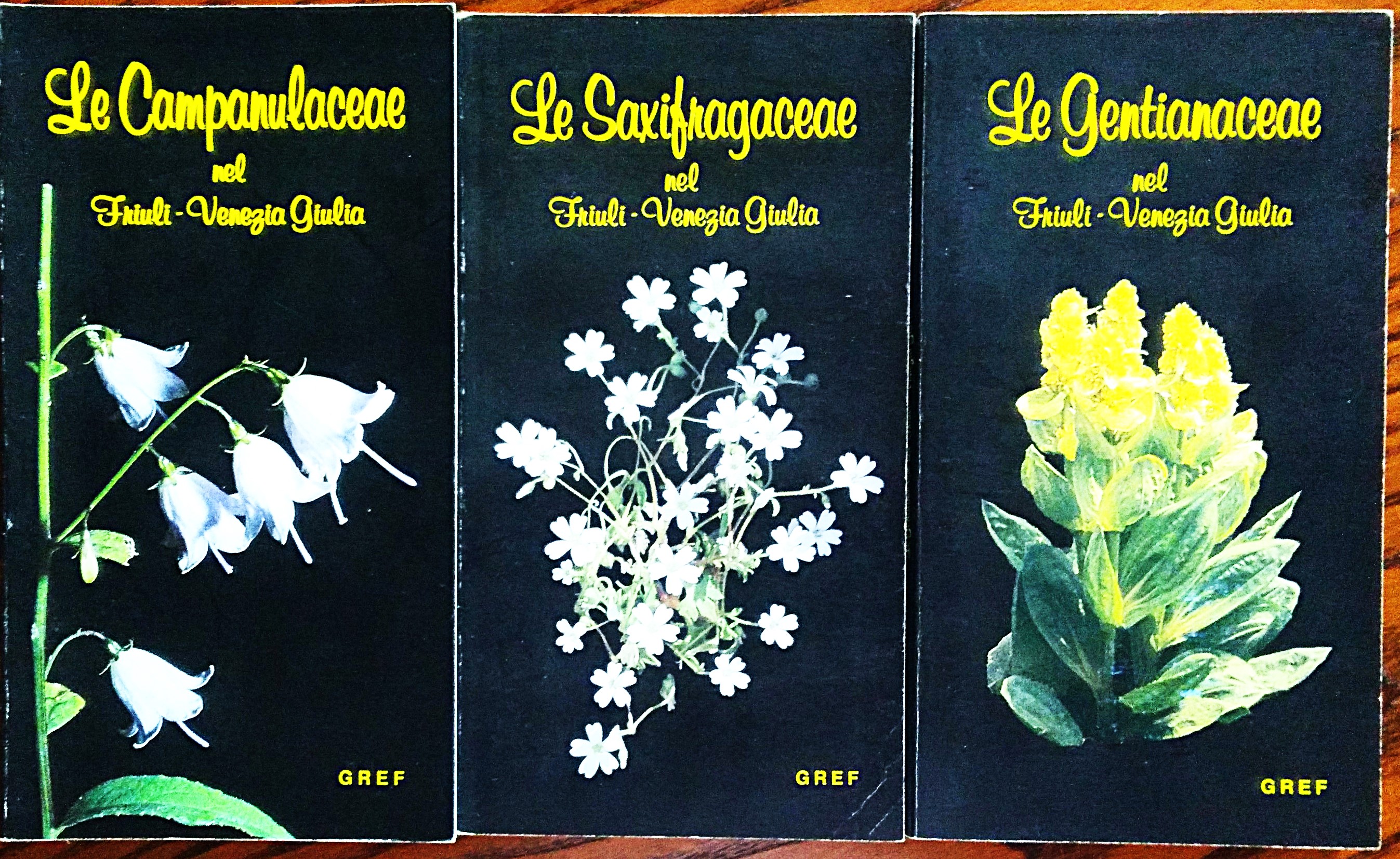 Le Campanulaceae - Le Saxifragaceae - Le Gentianaceae nel Friuli-Venezia …