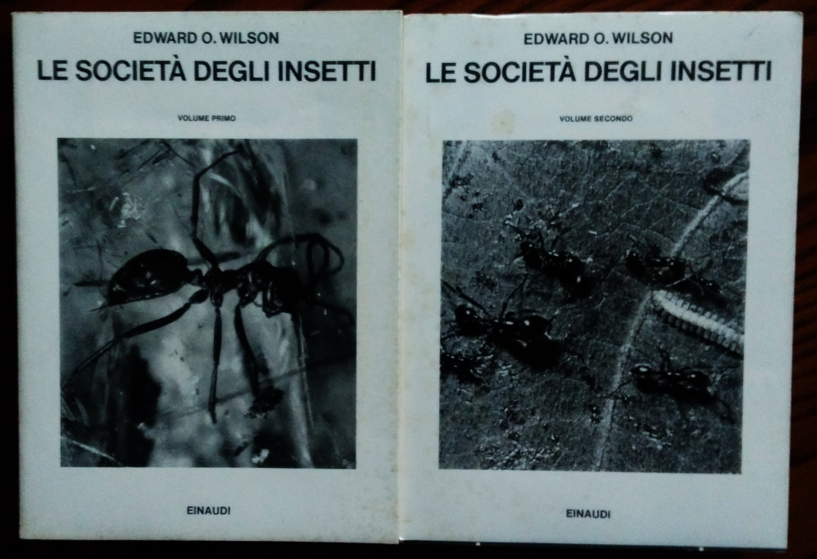 Le società degli insetti. Edizione italiana a cura di Gianluigi …