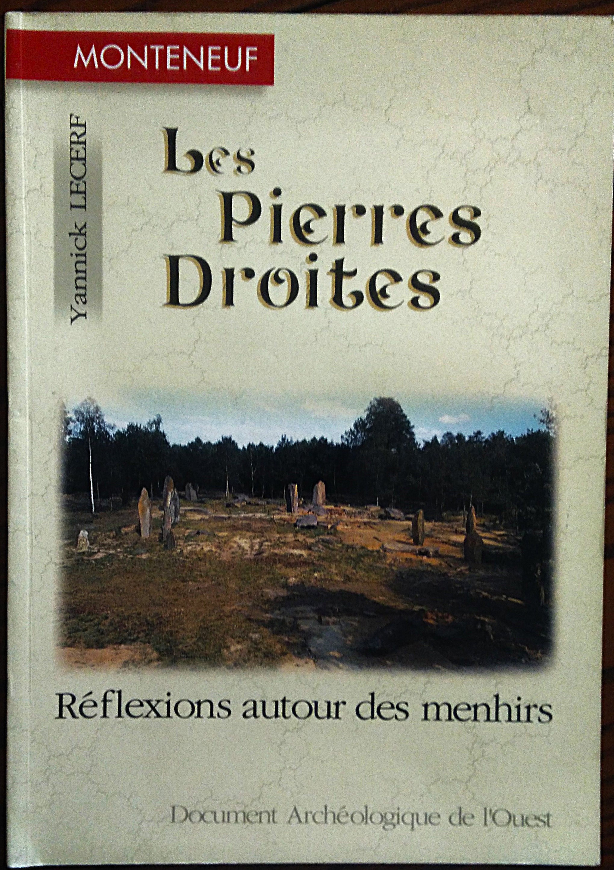 Les Pierres Droites. Reflexions autour des menhirs.