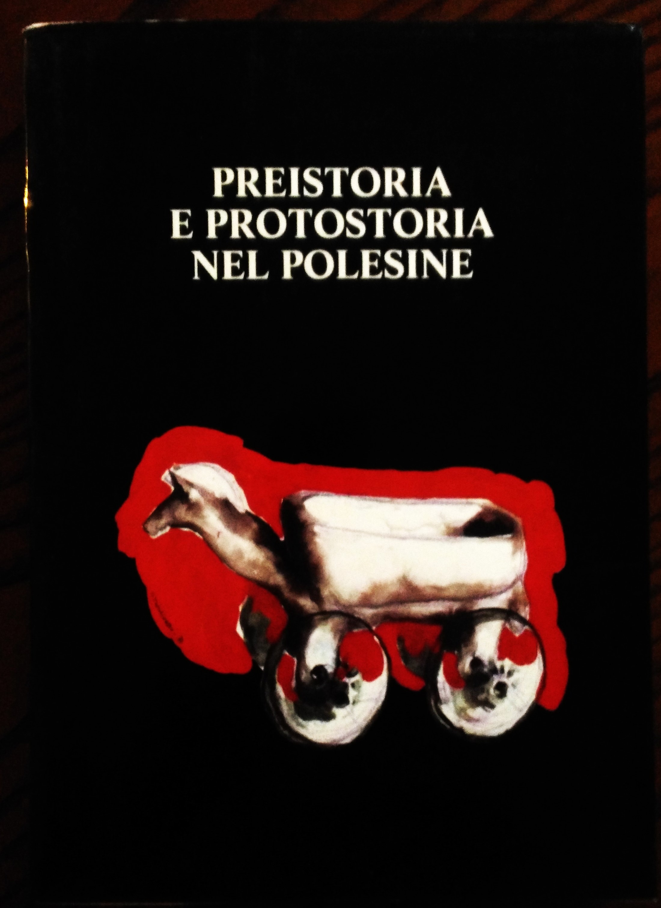 Preistoria e protostoria nel Polesine.