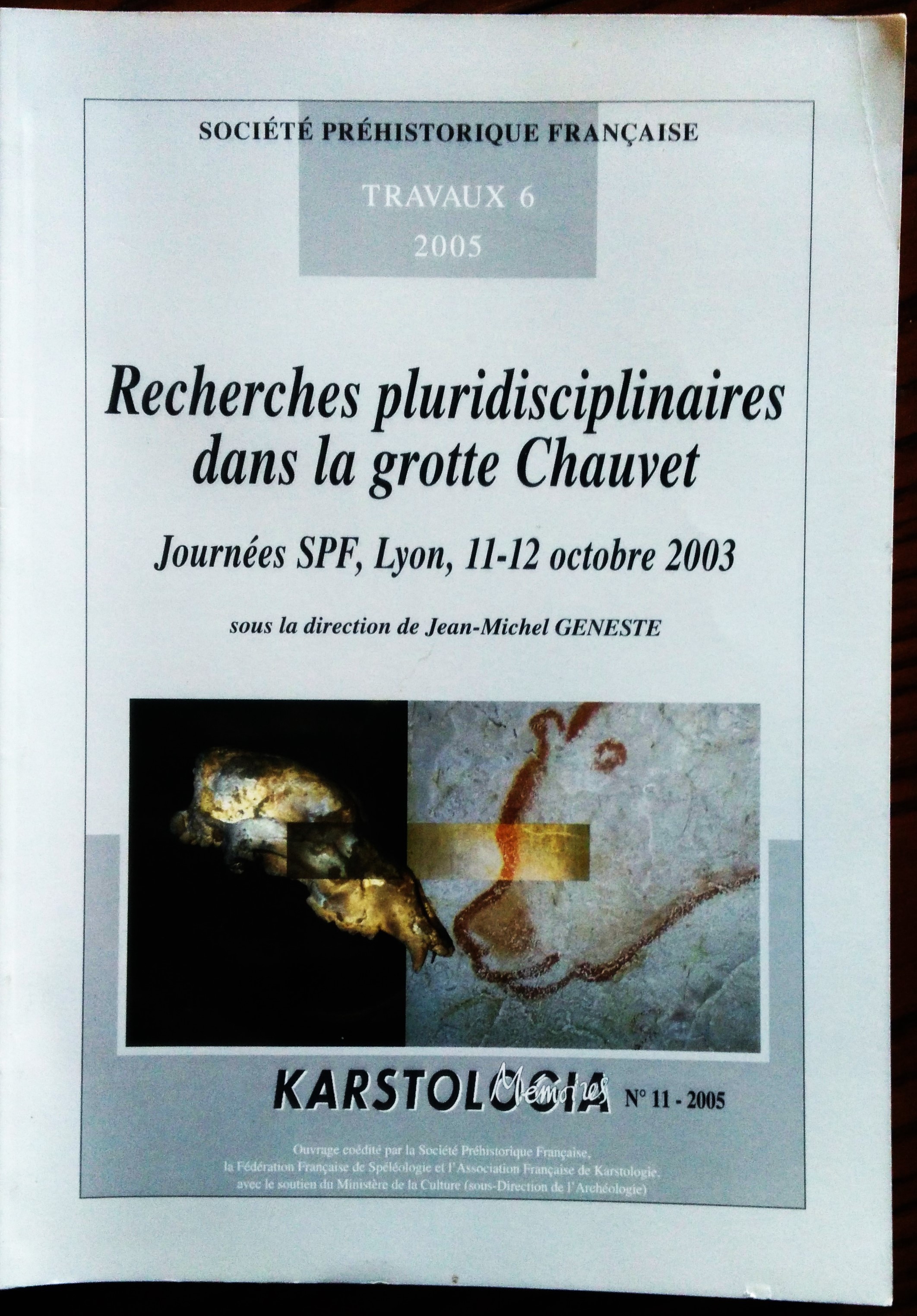 Recherches pluridisciplinaires dans la grotte Chauvet: Journées SPF, Lyon, 11-12 …