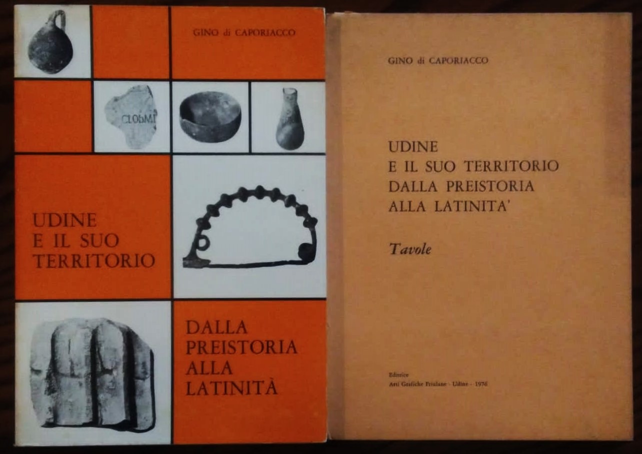 Udine e il suo territorio dalla preistoria alla latinità.