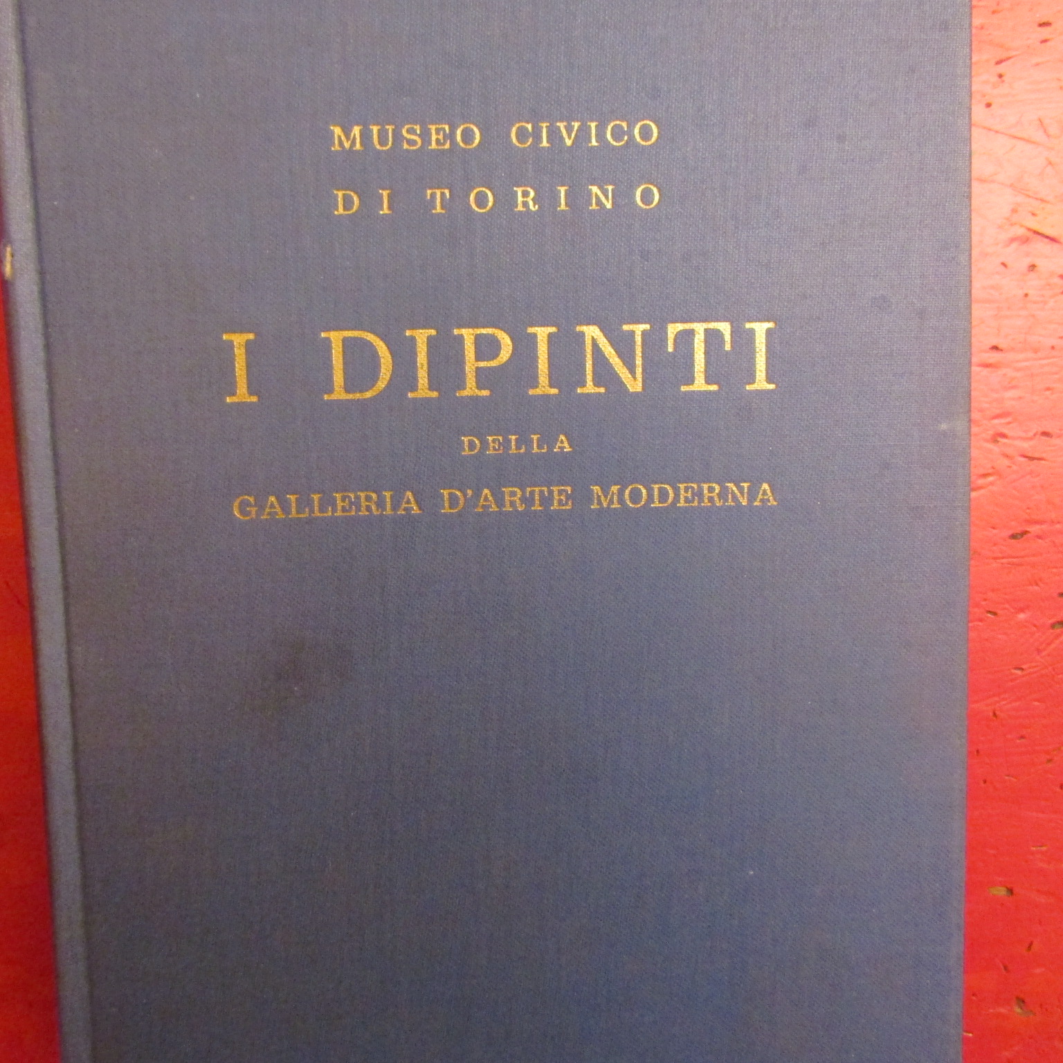 Museo Civico di Torino