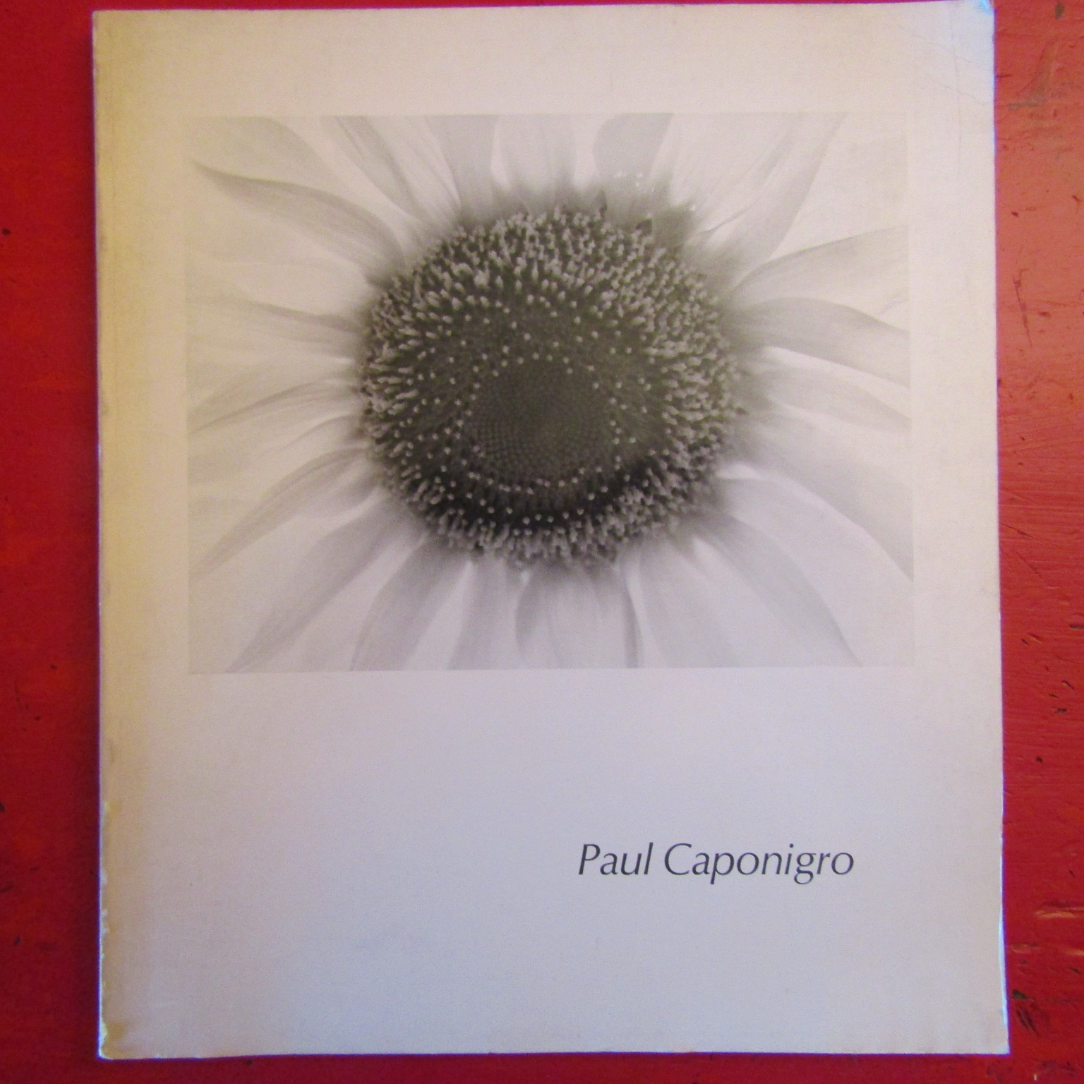 Paul Caponigro