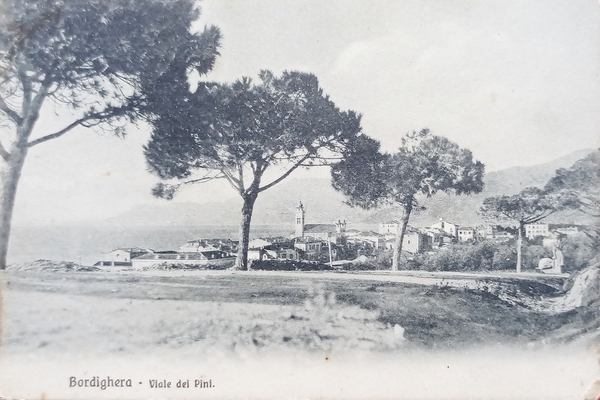 Cartolina - Bordighera - Viale dei Pini - 1911