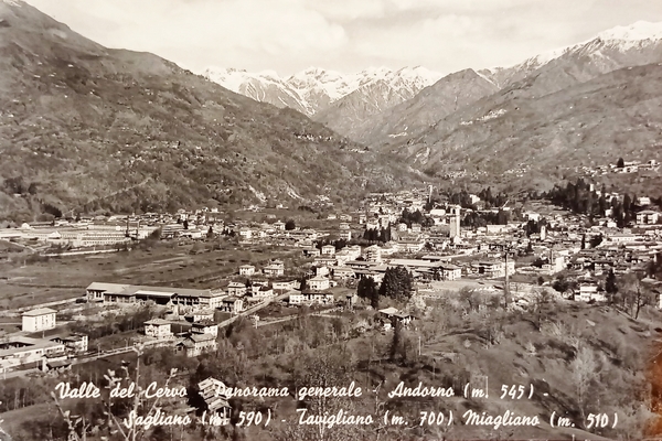 Cartolina - Valle del Cervo - Panorama Generale - Andorno …