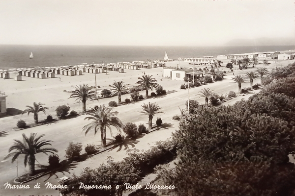 Cartolina - Marina di Massa - Panorama e Viale Litoraneo …