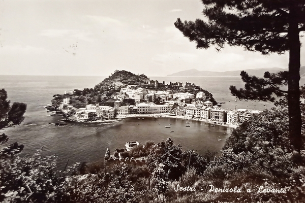 Cartolina - Sestri - Penisola a Levante - 1956