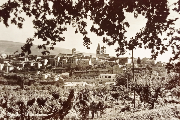 Cartolina - Spello ( Perugia ) - Panorama - 1954