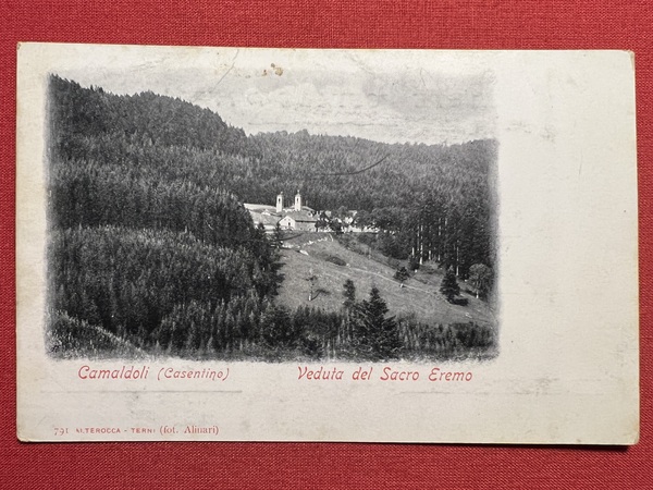 Cartolina - Camaldoli ( Casentino ) - Veduta del Sacro …