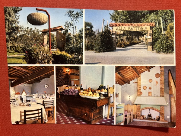 Cartolina - Lido di Pomposa ( Ferrara ) - Alla …