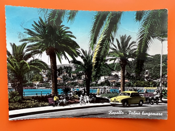 Cartolina - Rapallo ( Genova ) - Palme Lungomare - …