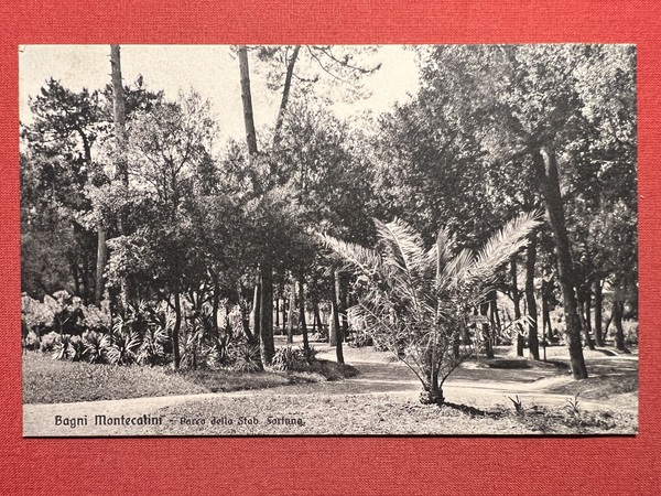 Cartolina - Bagni Montecatini - Parco dello Stabilimento Fortuna - …