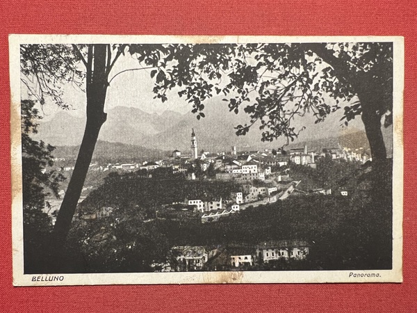 Cartolina - Belluno - Panorama - 1925