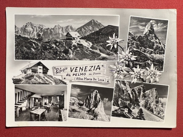 Cartolina - Rifugio Venezia al Pelmo ( Alba Maria De …