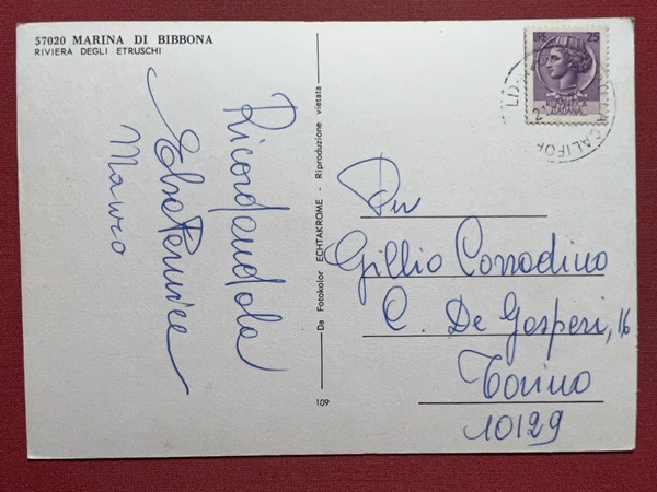 Cartolina - Marina di Bibbona ( Livorno ) - Riviera …