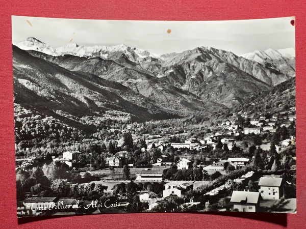 Cartolina - Torre Pellice e le Alpi Cozie - 1955 …