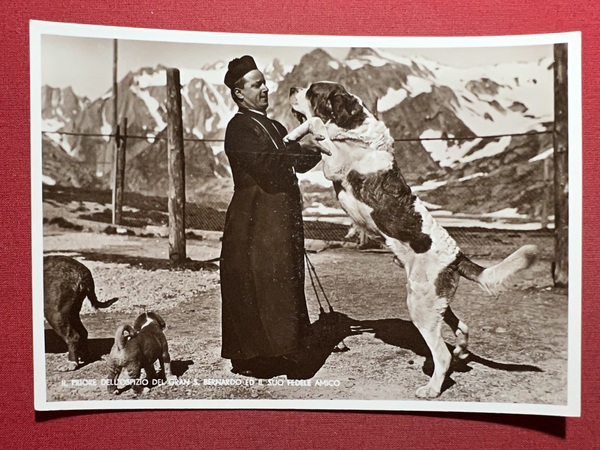 Cartolina - Il Priore dell'Ospizio del Gran S. Bernardo ed …