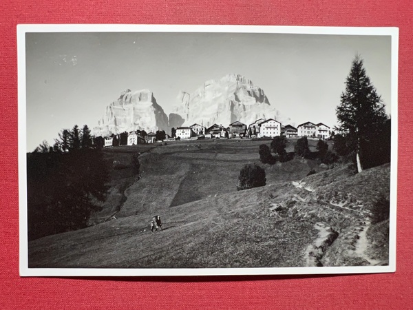 Cartolina - Panorama di Coi e Monte Pelmo ( Zoldo …