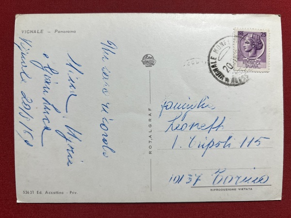 Cartolina - Vignale ( Alessandria ) - Panorama - 1969