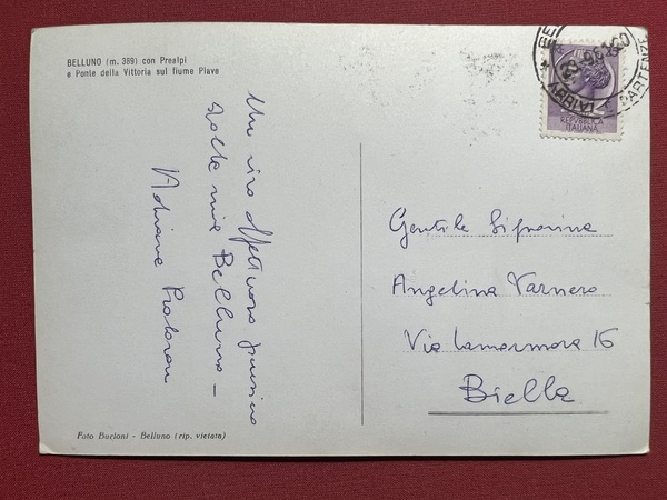 Cartolina - Belluno con Prealpi e Ponte della Vittoria sul …
