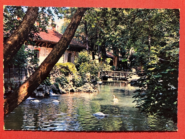 Cartolina - Milano - Giardini Pubblici - Ponte dei Cigni …