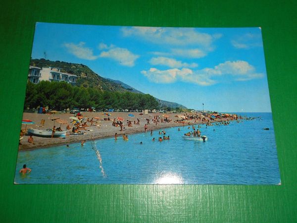 Cartolina Patti Marina ( Messina ) - Pineta sul mare …