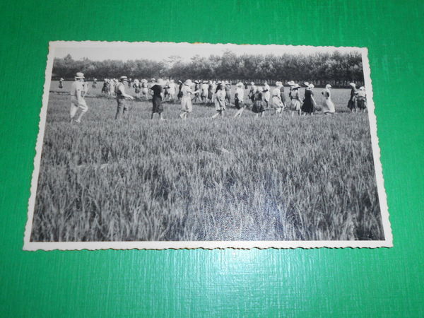 Cartolina Valeggio Lomellina ( Pavia ) - Cascina Erbogna 1930 …