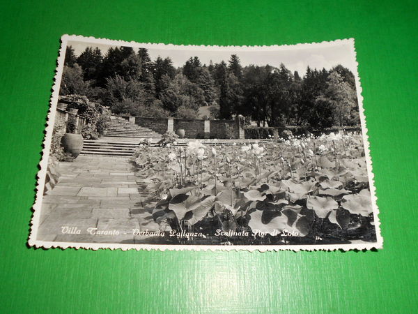 Cartolina Verbania Pallanza - Villa Taranto - Scalinata Fior di …
