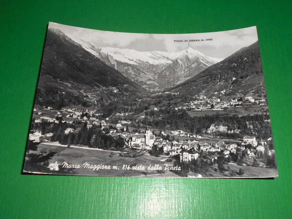 Cartolina S. Maria Maggiore - Panorama vista dalla Pineta 1956