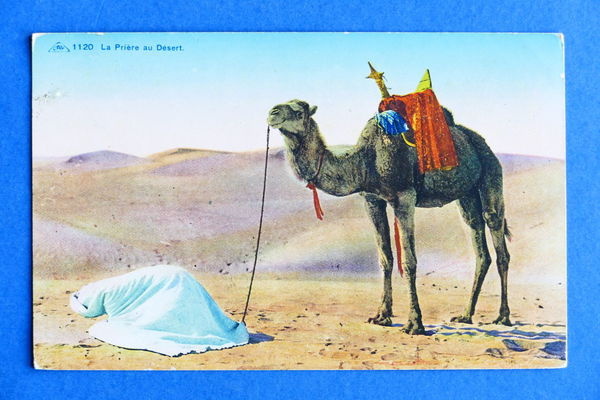 Cartolina Africa - La Priere au Desert - 1927