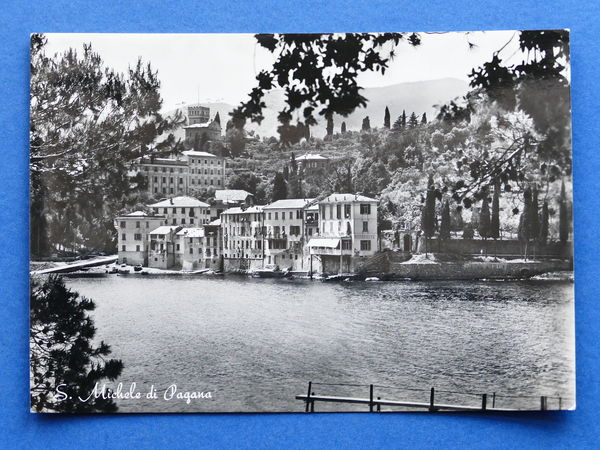 Cartolina S. Michele di Pagana - 1955