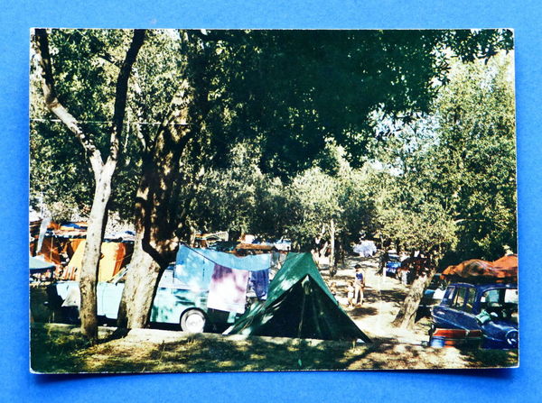 Cartolina Varigotti - Campeggio degli Ulivi - 1965 ca.