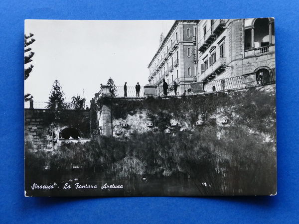 Cartolina Siracusa - La Fontana Aretusa - 1960 ca.