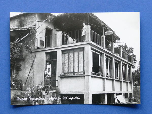 Cartolina Foresto - Bussoleno - Albergo dell'Agnello - 1955 ca.