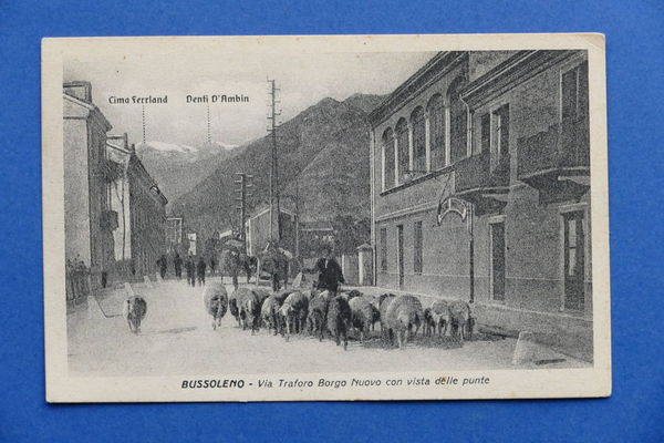 Cartolina Bussoleno - Via Traforo Borgo Nuovo - 1910 ca.
