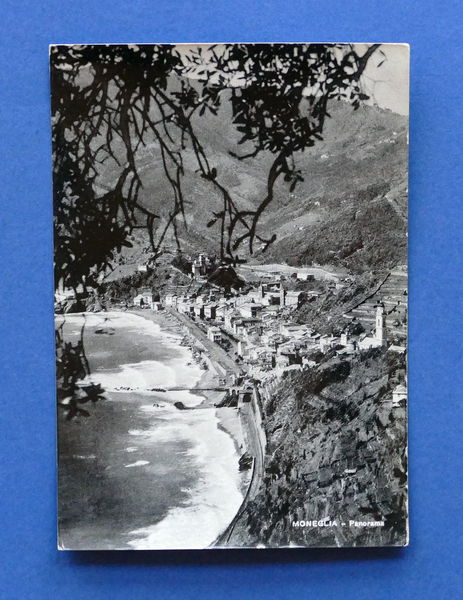 Cartolina Moneglia - Panorama - 1953