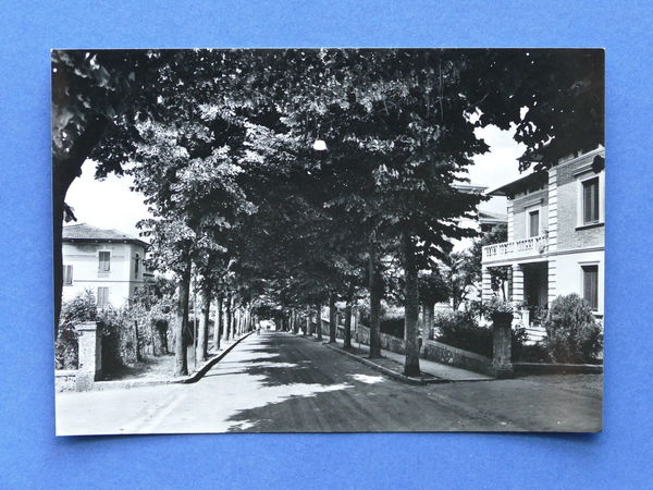 Cartolina Barga - Viale Cesare Biondi - 1960 ca.